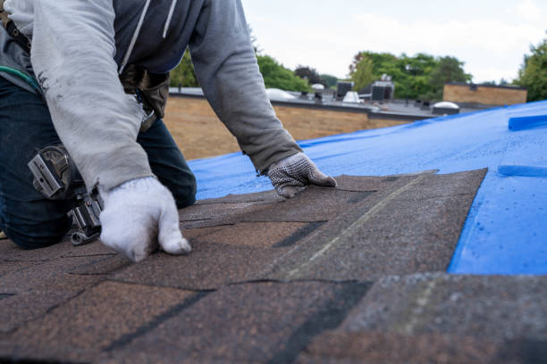 Professional Roofing Contractor in Andrews, NC